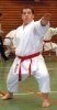 10__Kata_LM-2008_