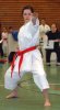 33__Kata-E_LM2009_